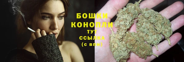 ешки Новосибирск