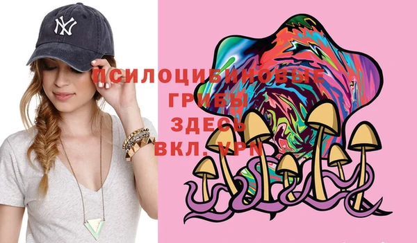 ешки Новосибирск