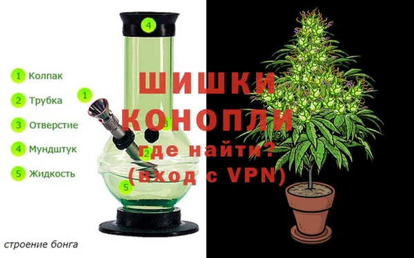 ешки Новосибирск