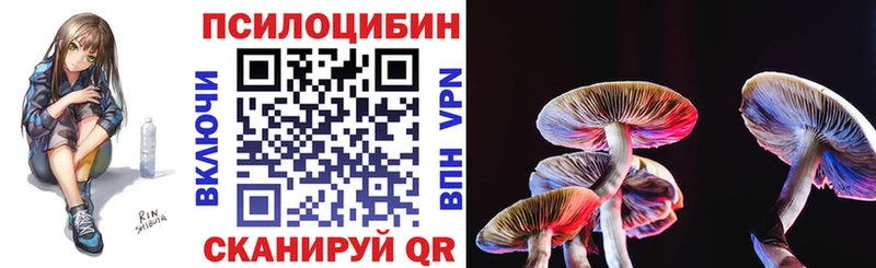 Галлюциногенные грибы прущие грибы  ОМГ ОМГ ONION  Санкт-Петербург  где купить наркоту 