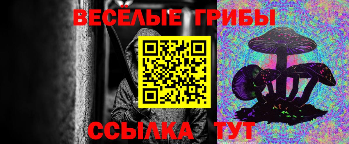 Псилоцибиновые грибы Magic Shrooms Россия