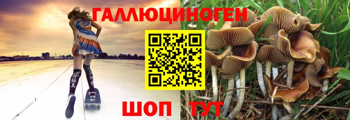 Россия  Псилоцибиновые грибы GOLDEN TEACHER  Вход с VPN 